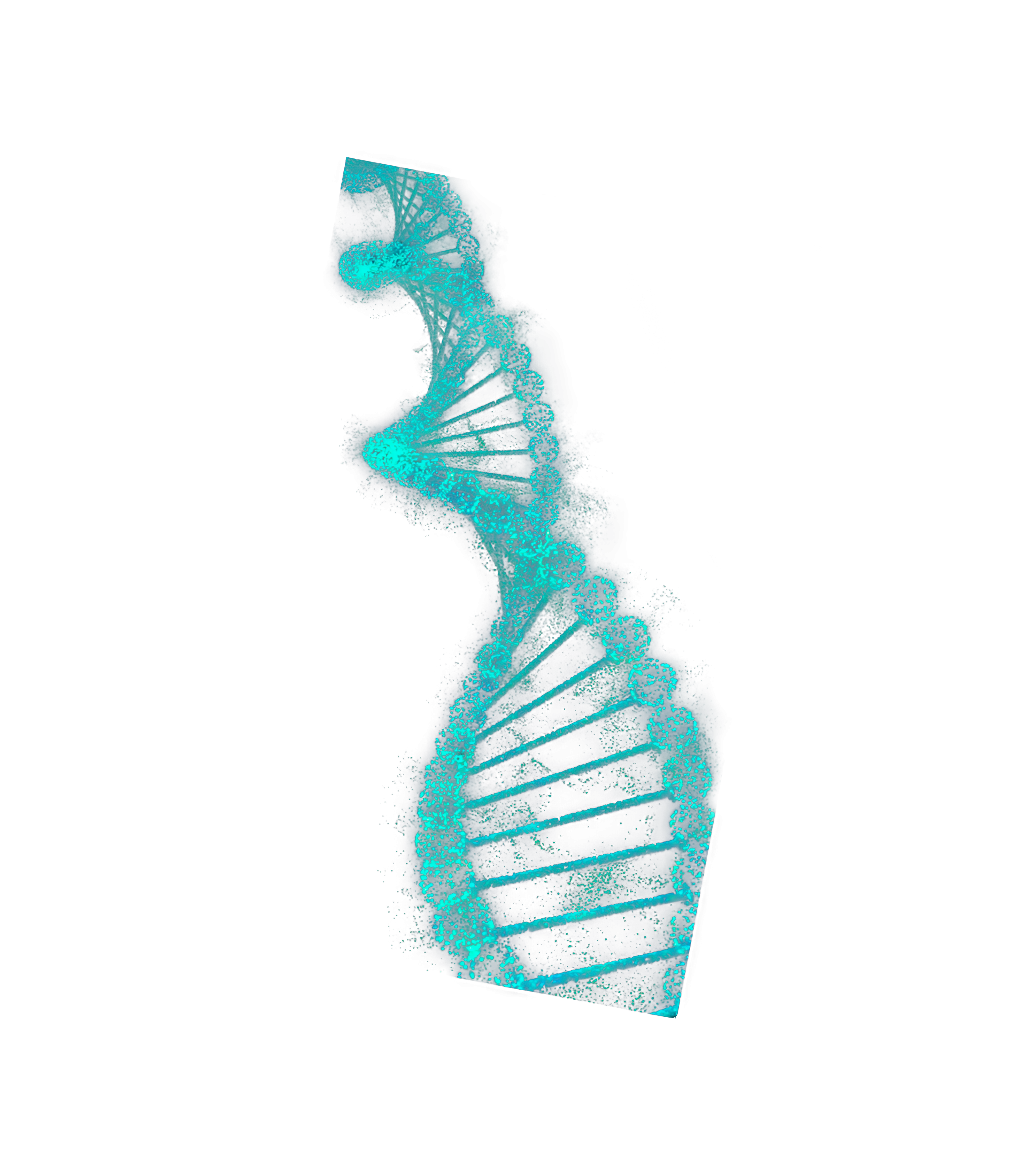 Science and experience